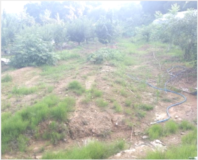 �� 8-�ȼ��� �׻�� ���-��