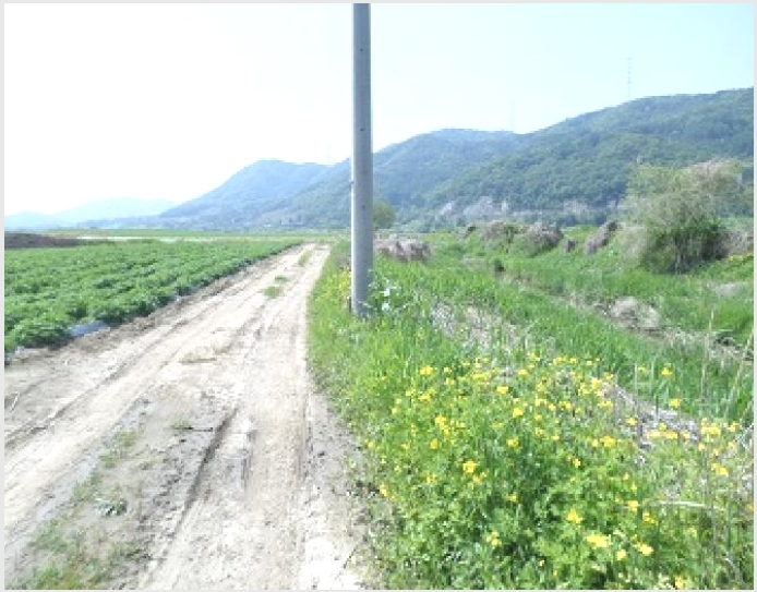 �� 9-���ֽ� �ηи� ���긮-��