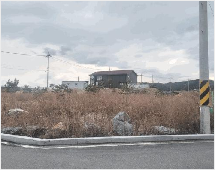 ������ 4-��籺 ���� ����-������