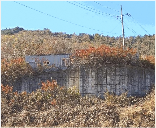 �� 6-â�籺 �輺�� ���긮-��