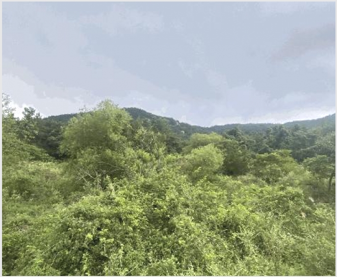 �� 7-�ϵ��� ���� ��븮-��