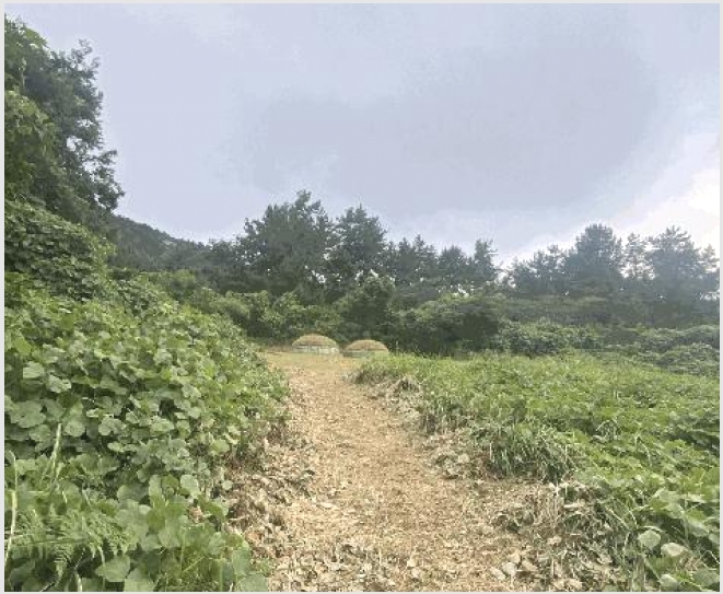�� 8-�ϵ��� ���� ��븮-��