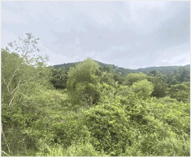 �� 9-�ϵ��� ���� ��븮-��