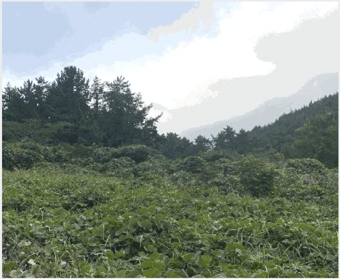 �� 6-�ϵ��� ���� ��븮-��