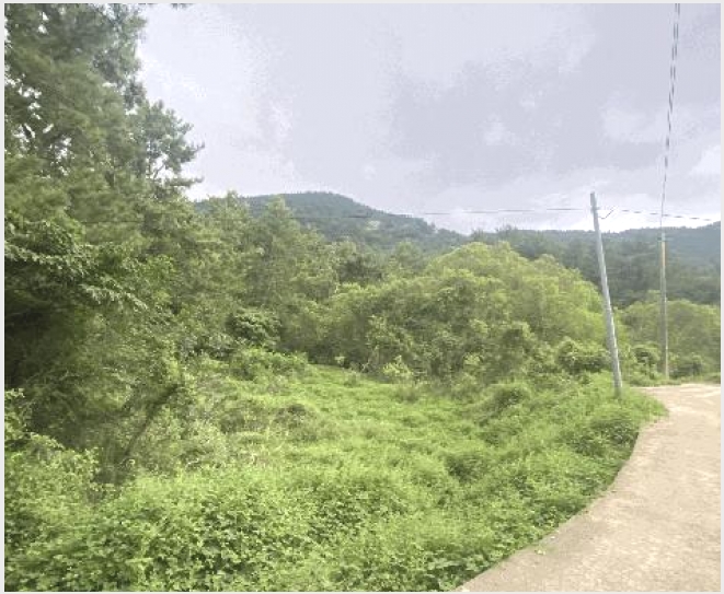 �� 5-�ϵ��� ���� ��븮-��