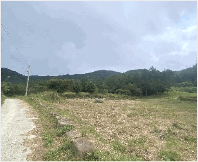 �� 10-�ϵ��� ���� ��븮-��