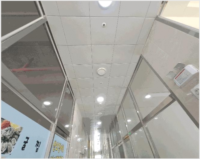 �ٸ��� 6-���ֽ� ������ ������-�ٸ���