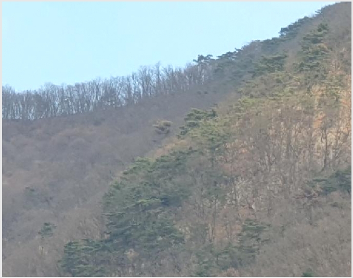 �Ӿ� 6-���� û��� ȣ����-�Ӿ�