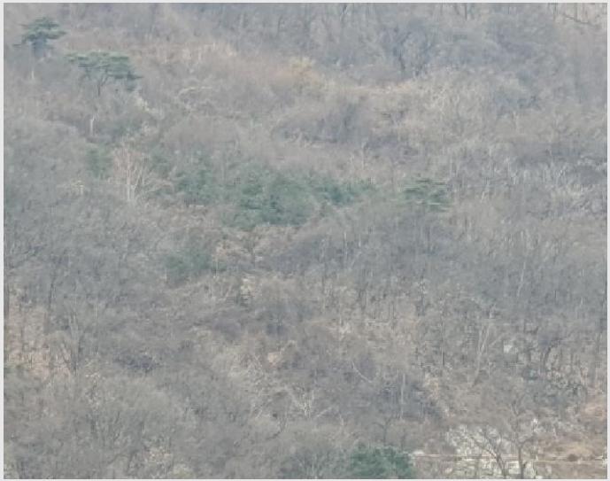 �Ӿ� 7-���� û��� ȣ����-�Ӿ�