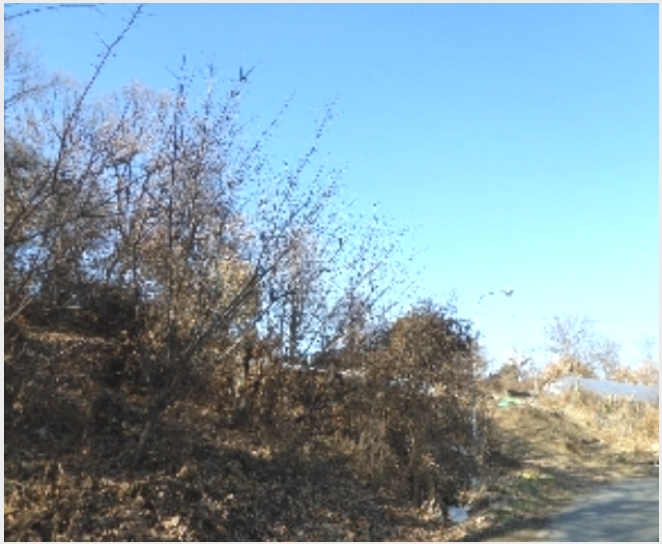 �Ӿ� 4-����� �ϻ굿�� ������-�Ӿ�