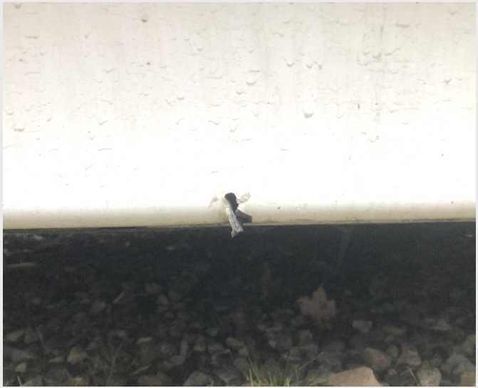 ���� 5-���� ���ַ�319���� 13,-����