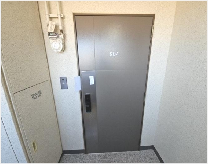 ����Ʈ 5-��籸 ��� 230-����Ʈ