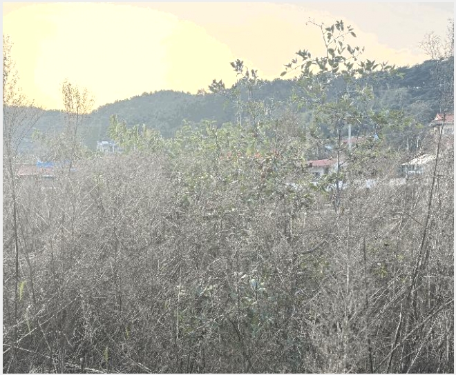�� 5-�ݳ��� ������ 320-2-��
