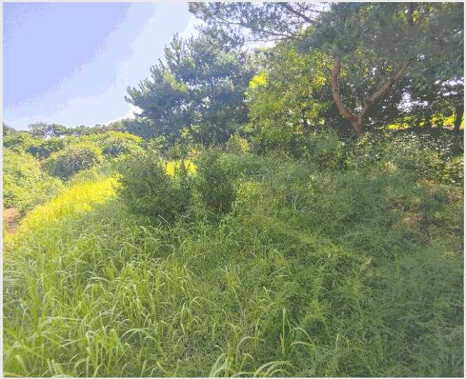 �� 9-�ο��� ���� �뼱��-��