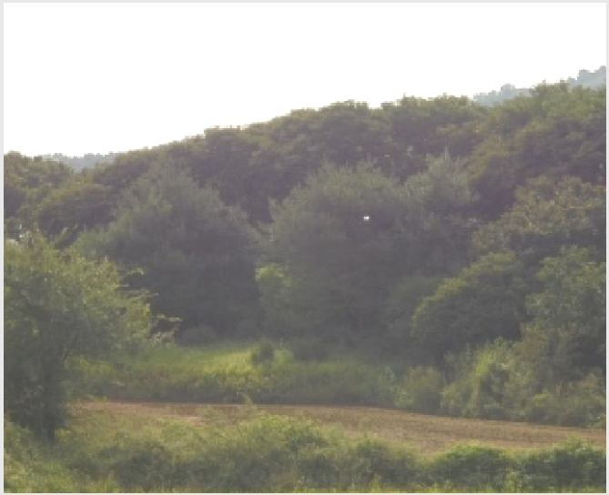 �� 5-�ο��� ���� �뼱��-��