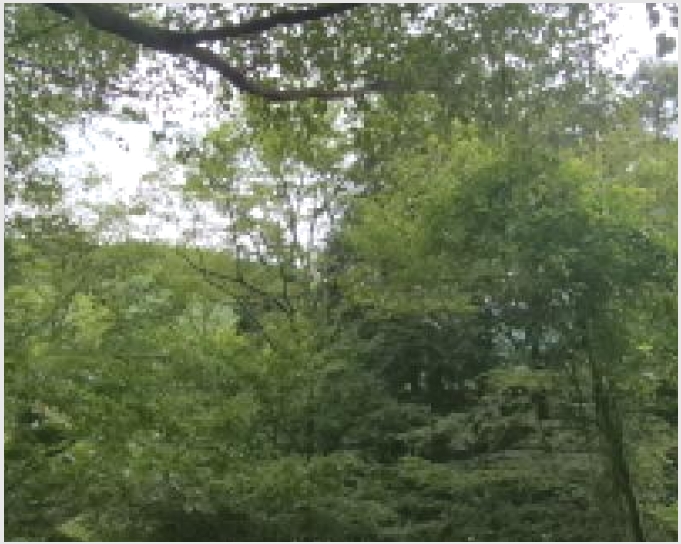 �Ӿ� 10-������ ������ ħ����-�Ӿ�