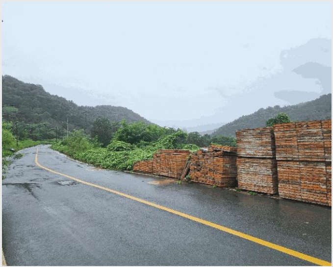 ���� 8-��籺 ����� �е���-����