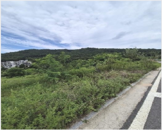 ���� 6-��籺 ����� �е���-����