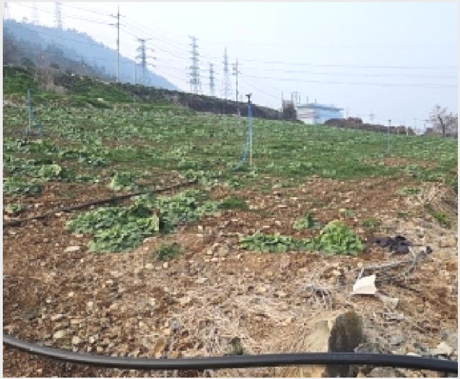 �� 9-�س��� ȭ���� û�븮-��