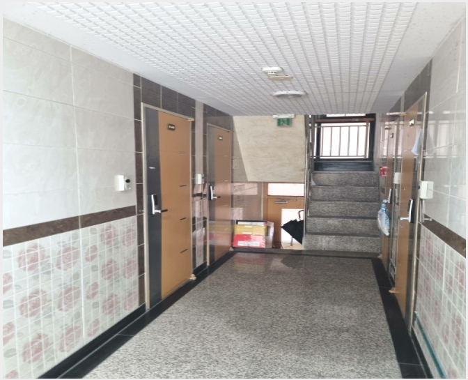 �ٸ����� 5-���Ǳ� �Ÿ��� 1460-30-�ٸ�����