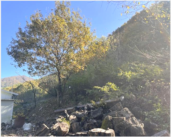 �ܵ����� 6-�о�� ����� ��õ��-�ܵ�����