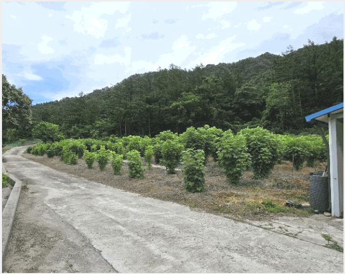 �󰡰ǹ� 7-������ ����� ������-�󰡰ǹ�