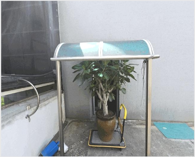 �ٸ��ü� 6-���ֽ� �ܱ��� 1607-9-�ٸ��ü�