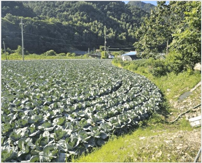 �� 5-��â�� ��ȭ�� �Ͼȹ̸�-��