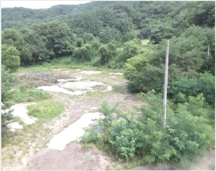 ��Ÿ���� 4-û�ֽ� ��籸 ���ϵ�-��Ÿ����