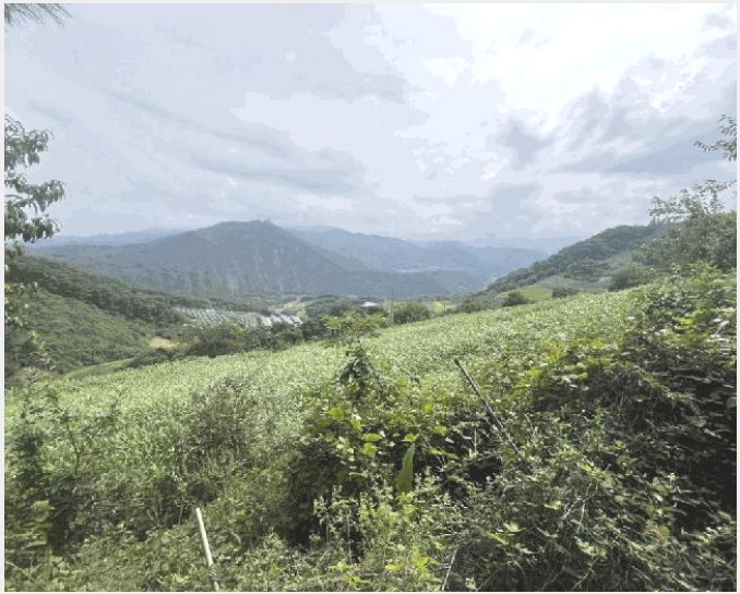 �� 10-�ܾ籺 ����� ���縮-��