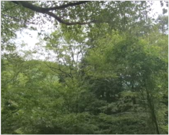 �Ӿ� 9-������ ������ ħ����-�Ӿ�
