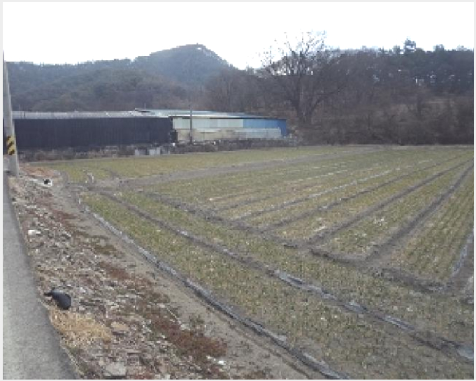 �� 4-â�籺 �̹�� �ų���-��