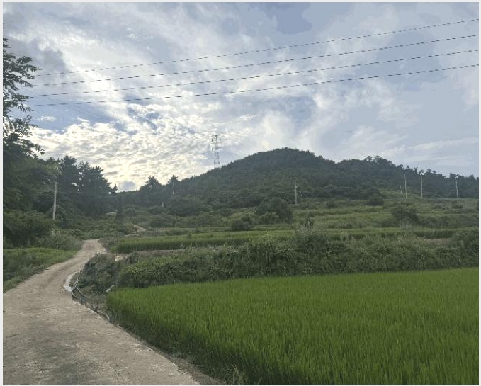 �� 10-�žȱ� ���¸� �븮-��