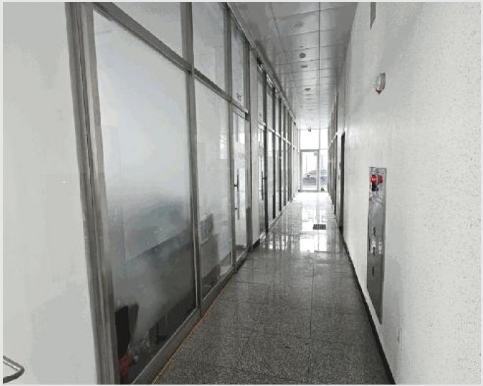 �ٸ��� 10-����� ���籸 �ֱ���-�ٸ���