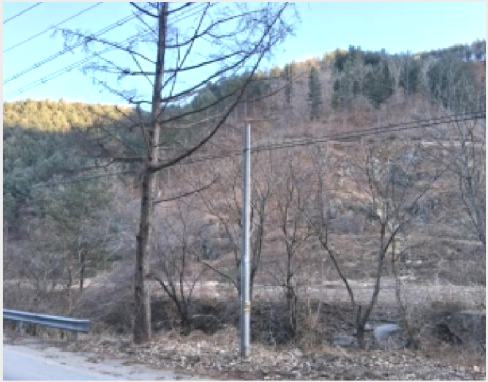 �Ӿ� 4-ȫõ�� ���� ������-�Ӿ�