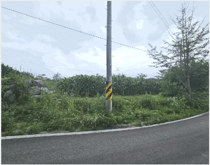 �� 7-��õ�� ������ 464-3-��