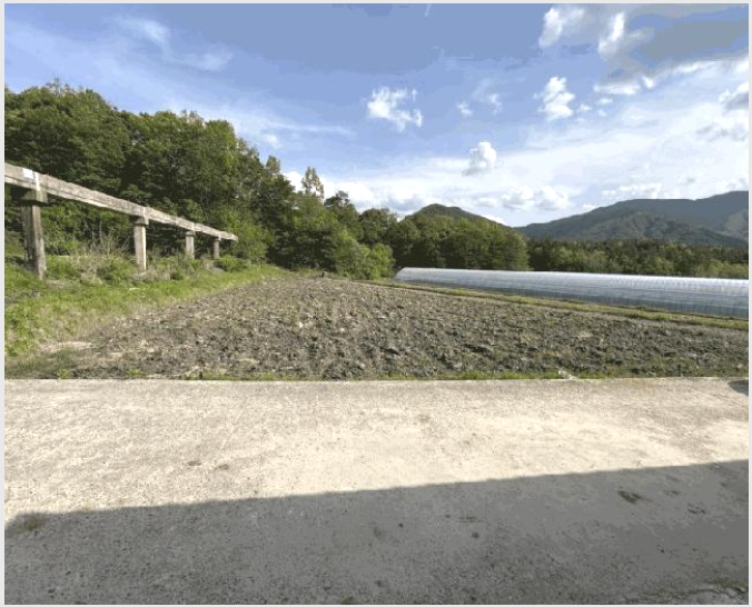 �� 6-������ �Ű�� ������-��