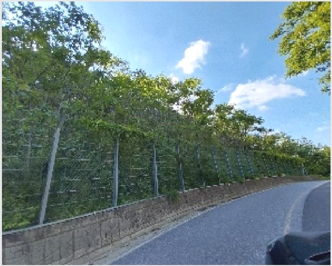 �Ӿ� 8-û�籺 ��ġ�� ���긮-�Ӿ�