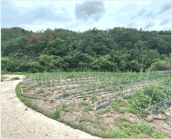 �� 5-���籺 ������ ������-��