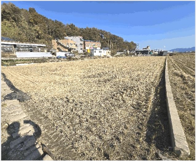 �� 7-�ϵ��� �ݼ��� ���׸�-��
