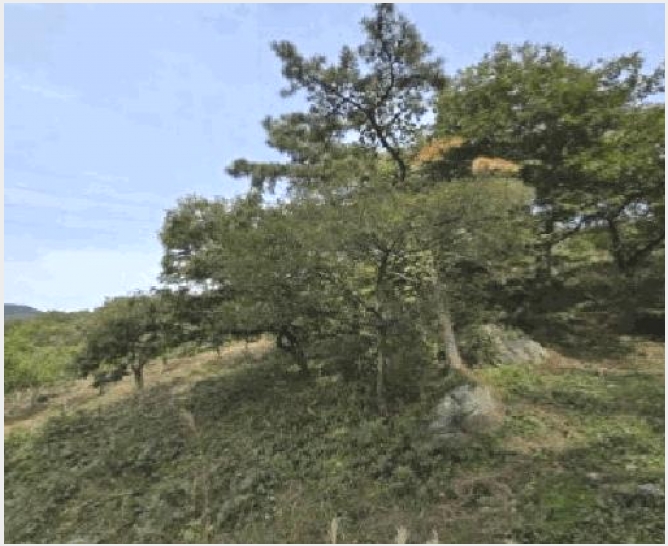 �Ӿ� 10-�о�� ����� ������-�Ӿ�