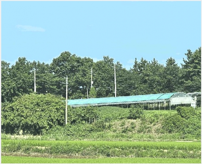 ������ 7-���ֽ� ��Ȳ�� Ȳ�븮-������