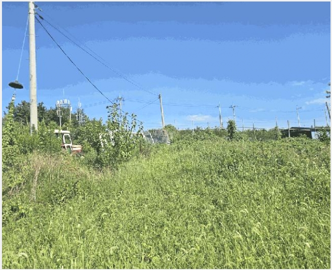 ������ 8-���ֽ� ��Ȳ�� Ȳ�븮-������