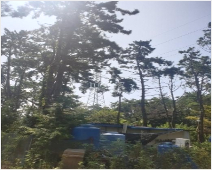 �Ӿ� 4-���屺 ����� �ݷ渮-�Ӿ�