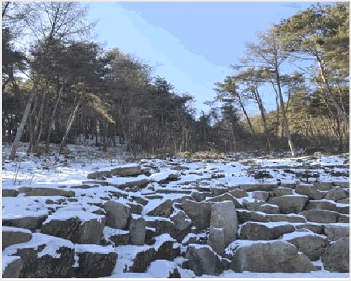 �Ӿ� 5-Ⱦ���� �г��� �й泻��-�Ӿ�
