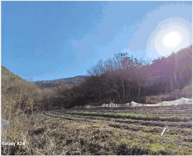 �Ӿ� 5-ȭ���� ����� ��ȭ��-�Ӿ�