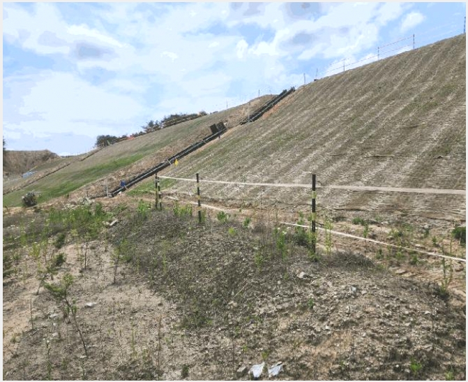 �Ӿ� 10-�屺�� ��ϸ� ��107-16-�Ӿ�