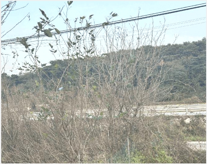 �� 6-�ݳ��� ������ 319-3-��