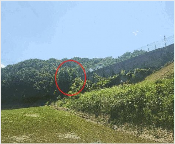 �� 8-õ�Ƚ� ������ ��õ��-��
