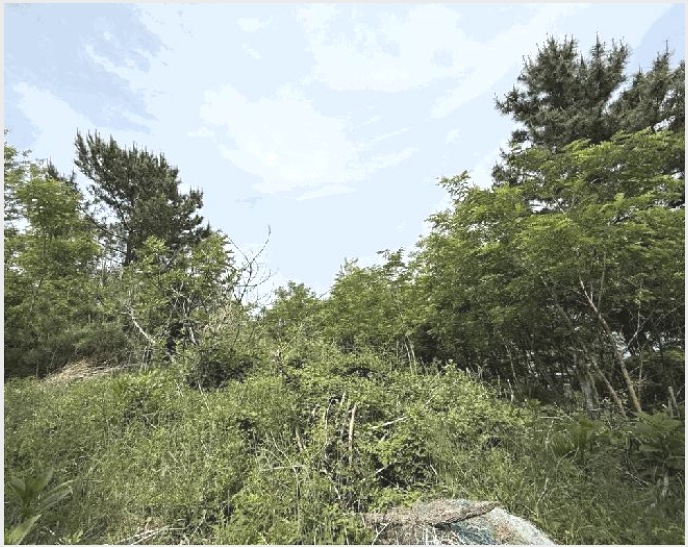 �Ӿ� 6-������ �⼺�� �絿��-�Ӿ�